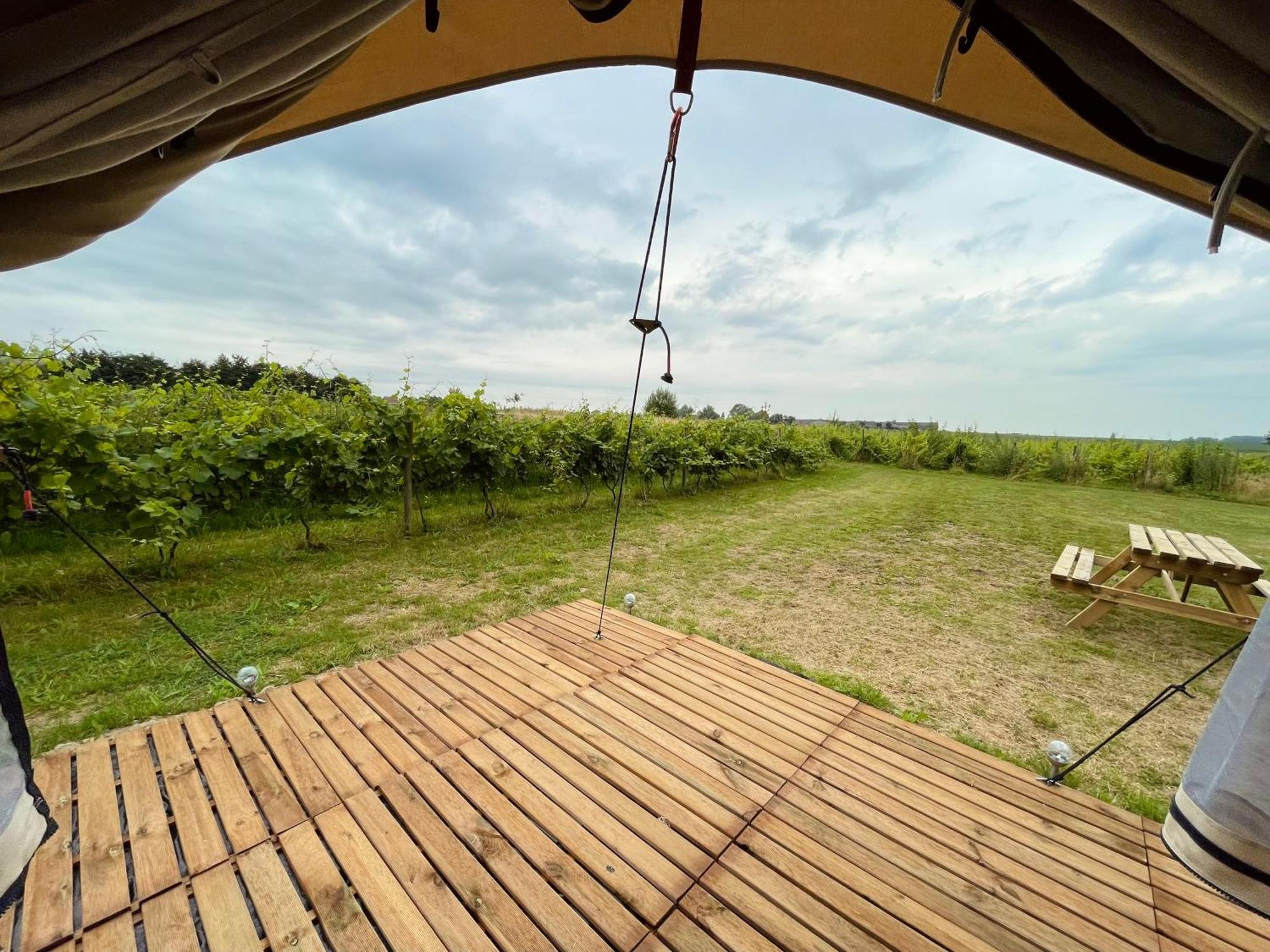 B&B 'T Zwaluwnest Хьовеланд Стая снимка